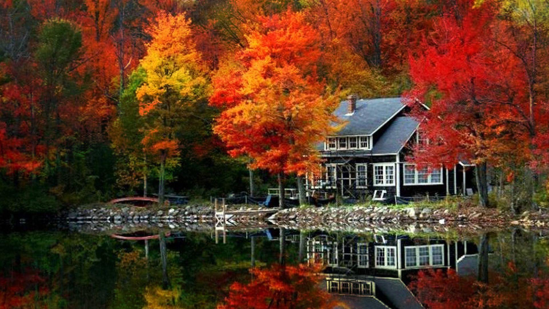 1920x1080 Autumn Tree HD Wallpaper. Autumn Tree Picture