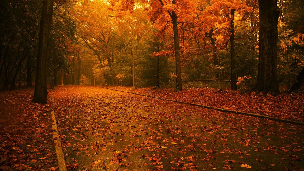 Cool Autumn Wallpapers - Top Free Cool Autumn Backgrounds - WallpaperAccess