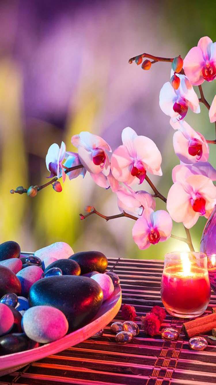 750x1334 Flower Wallpaper (4K Ultra HD) for Android