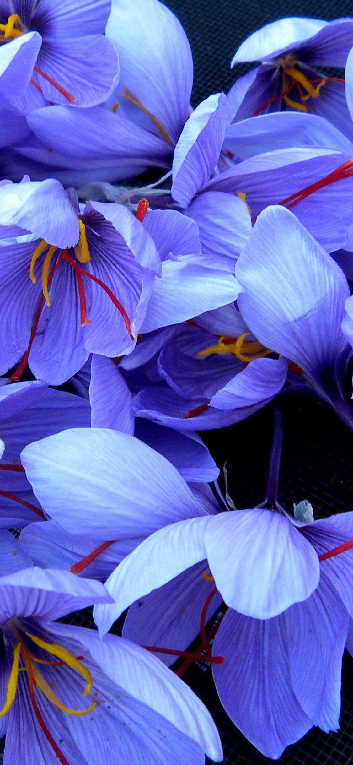 1125x2436 Flowers 4k iPhone Xsiphone 10iphone X HD 4k Wallpaper