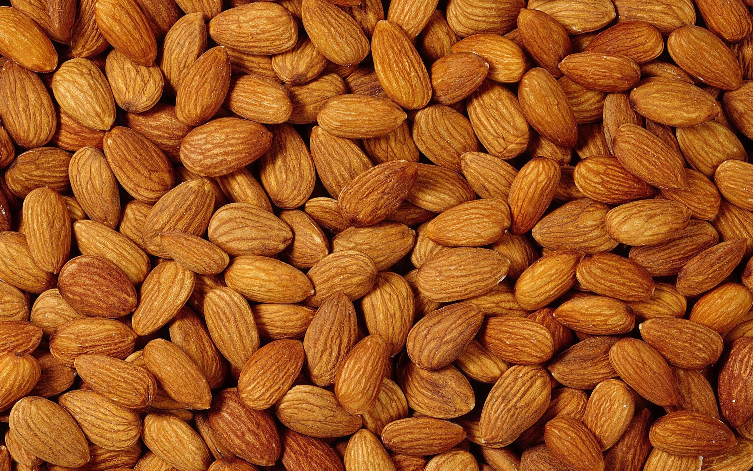 2560x1600 Almonds Wallpaper 38818 2560x1600px