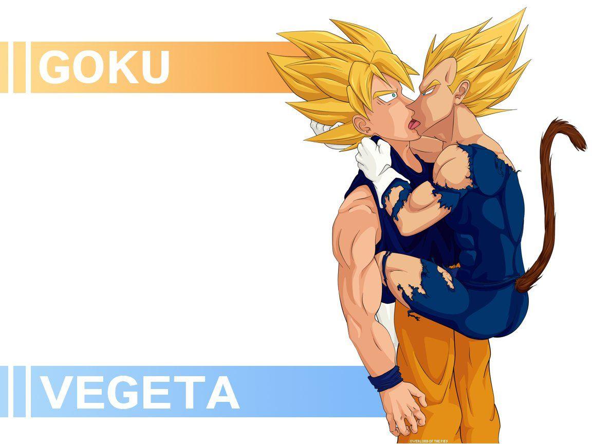 1152x864 Goku + Vegeta Wallpaper