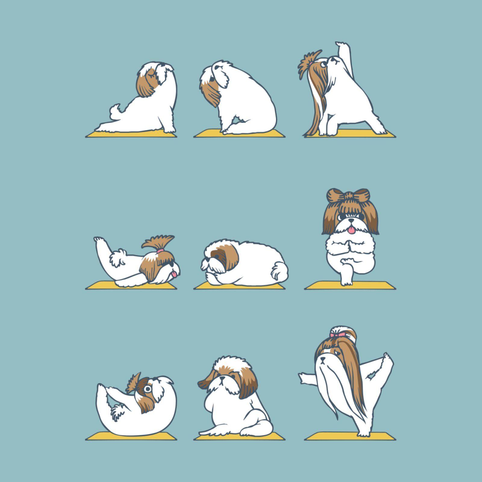 1600x1600 Shih Tzu Yoga. Shih tzu, Cute puppy wallpaper, Puppy sketch