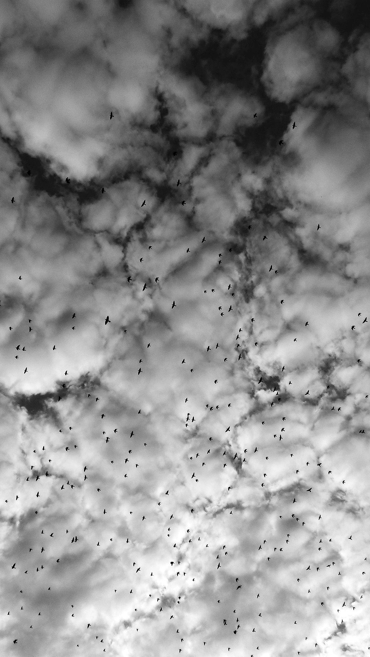 1242x2208 iPhone 6 wallpaper. sky cloud birds