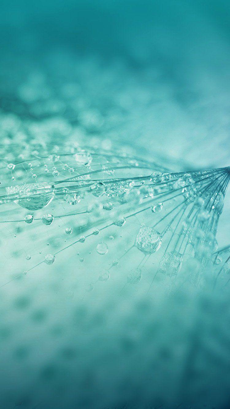 Blue iPhone 6 Wallpapers Top Free Blue iPhone 6 Backgrounds