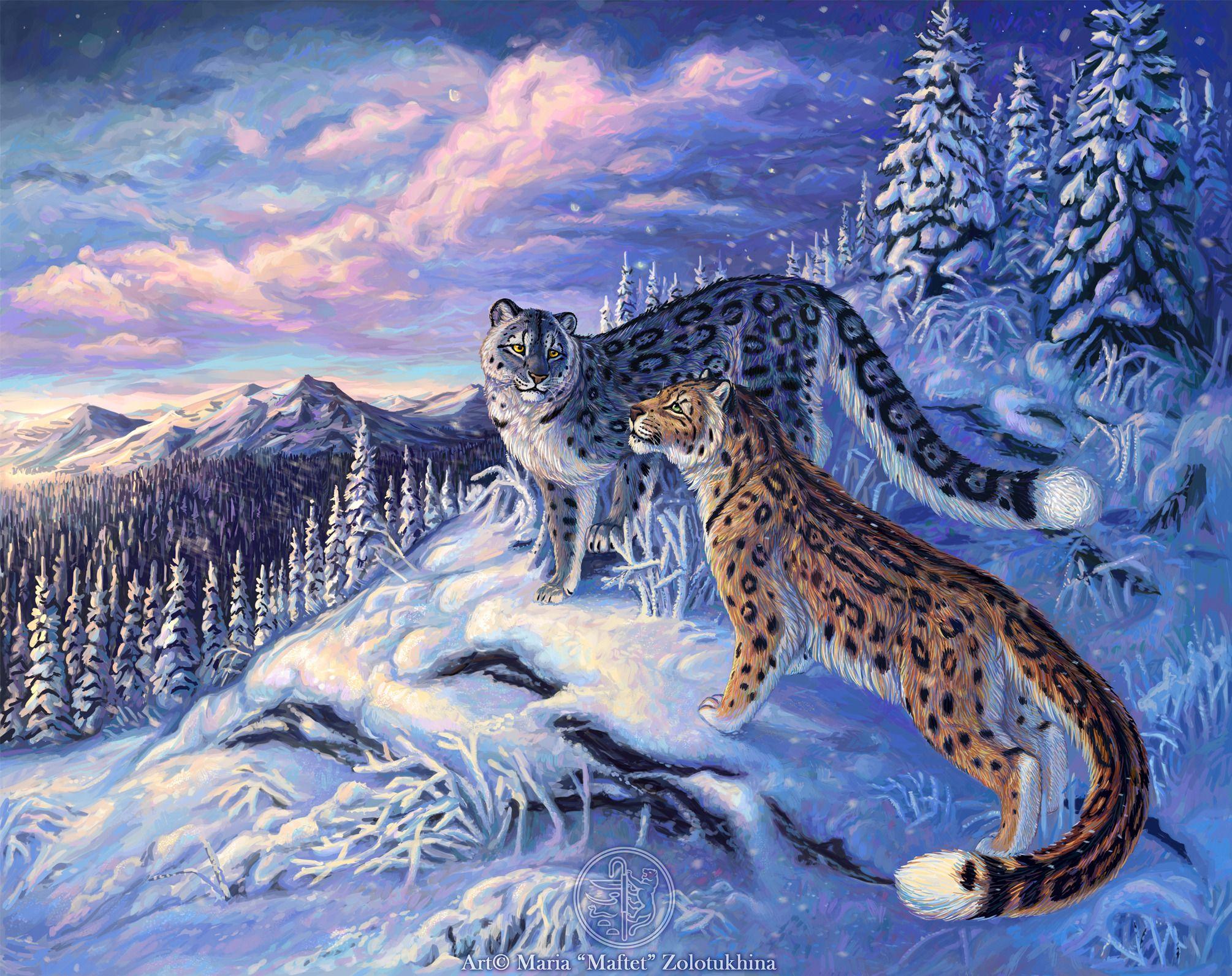 Cool Snow Leopard Wallpapers - Top Free Cool Snow Leopard Backgrounds