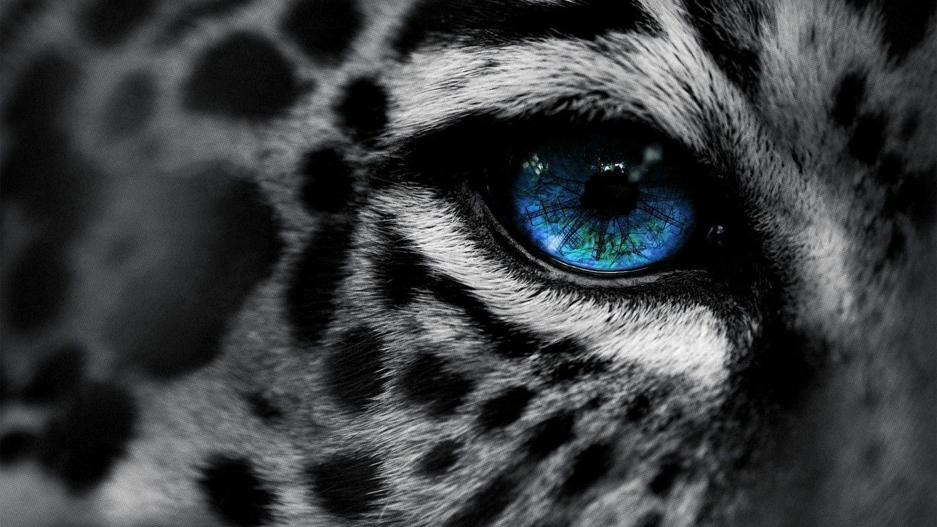 1366x768 Download 1366x768 Leopard Eye, Blue, Close Up, Photo Manipulation