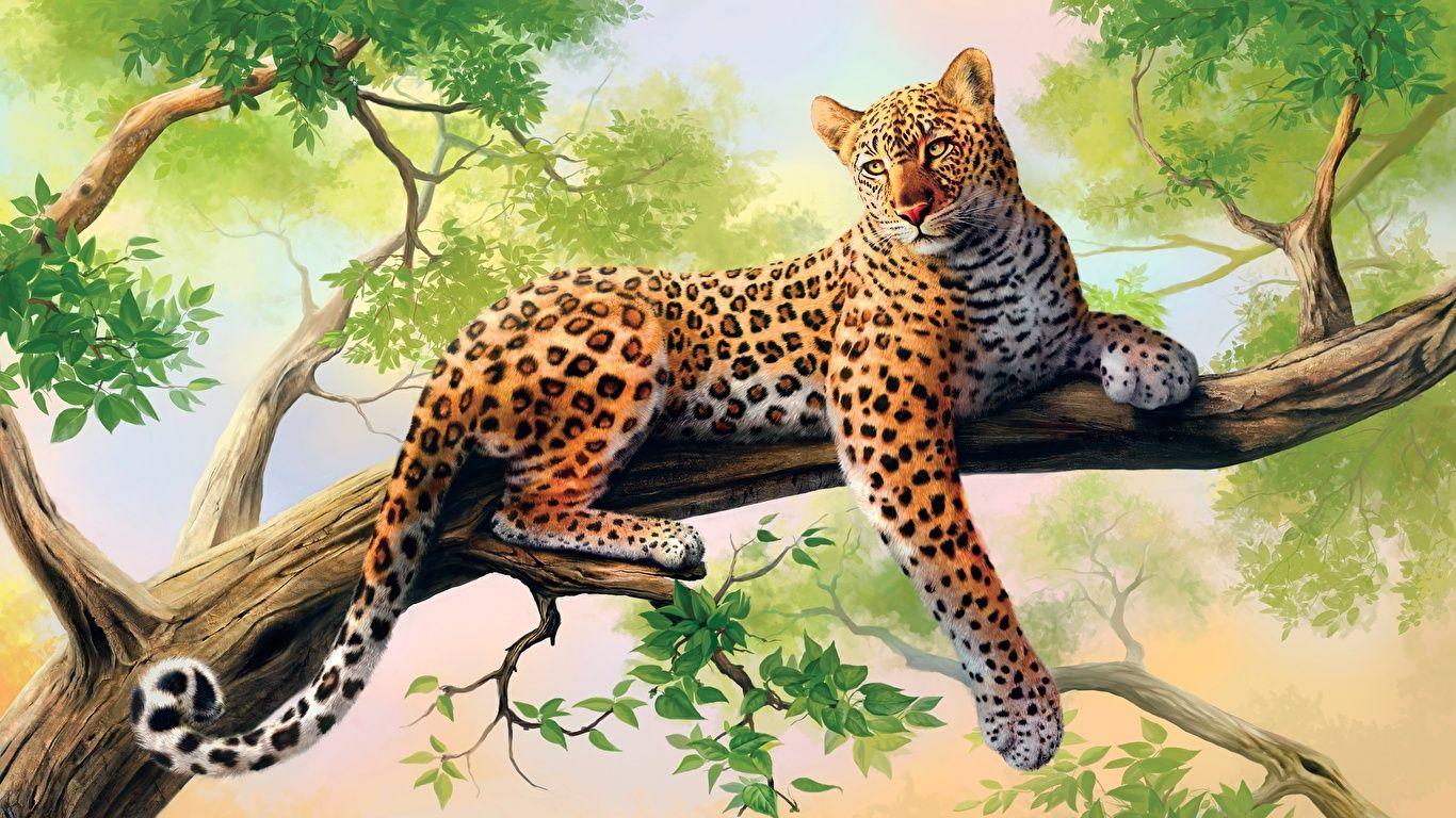 1366x768 Photo leopard Big cats Branches Animals 1366x768