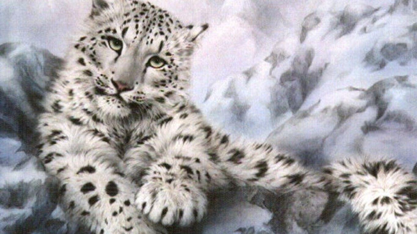 1366x768 Free download Snow Leopard Wallpaper HD Wallpaper Early