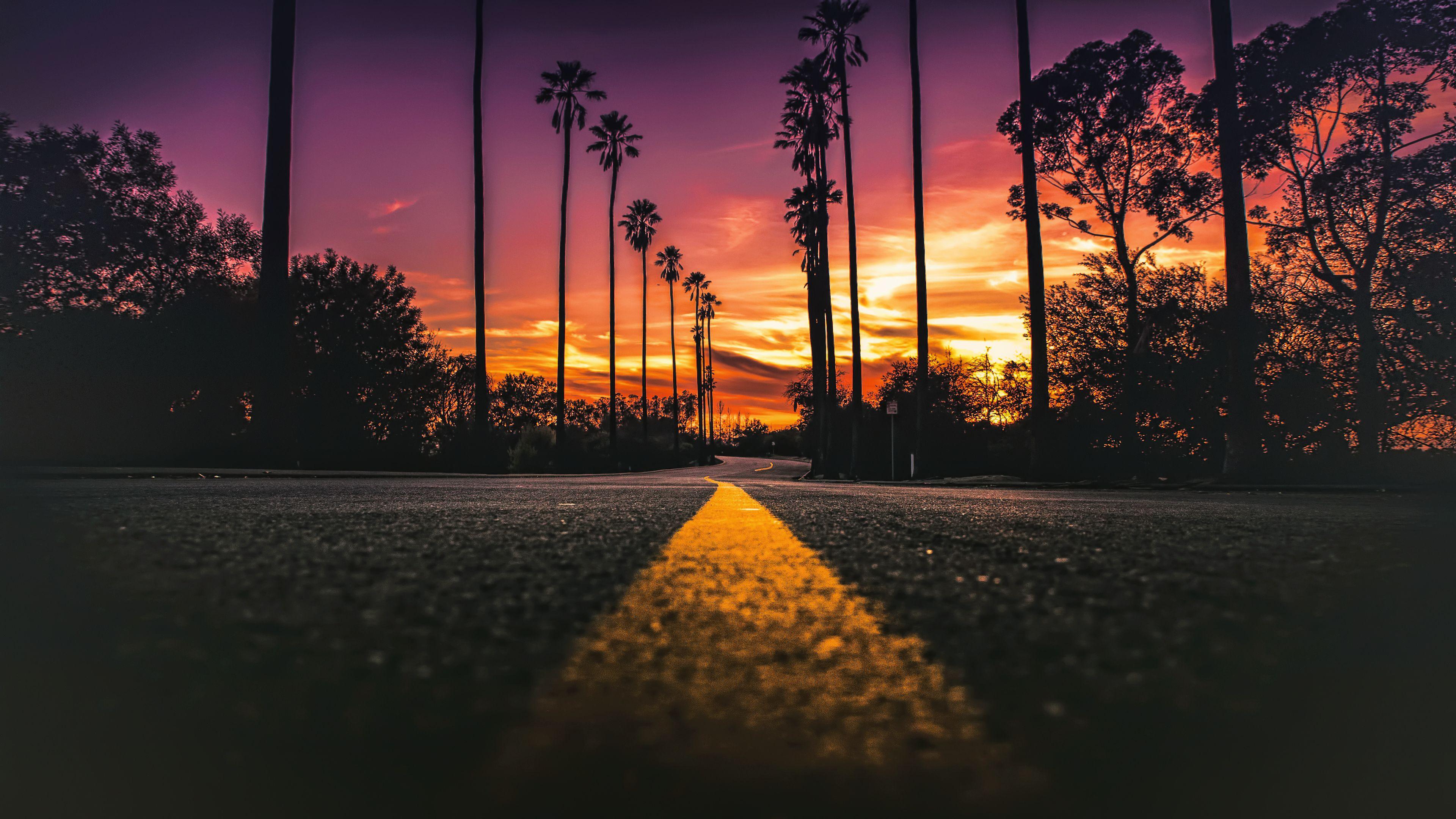 3840x2160 California, #USA, #road, #sunlight, #street, #sunset, #worm