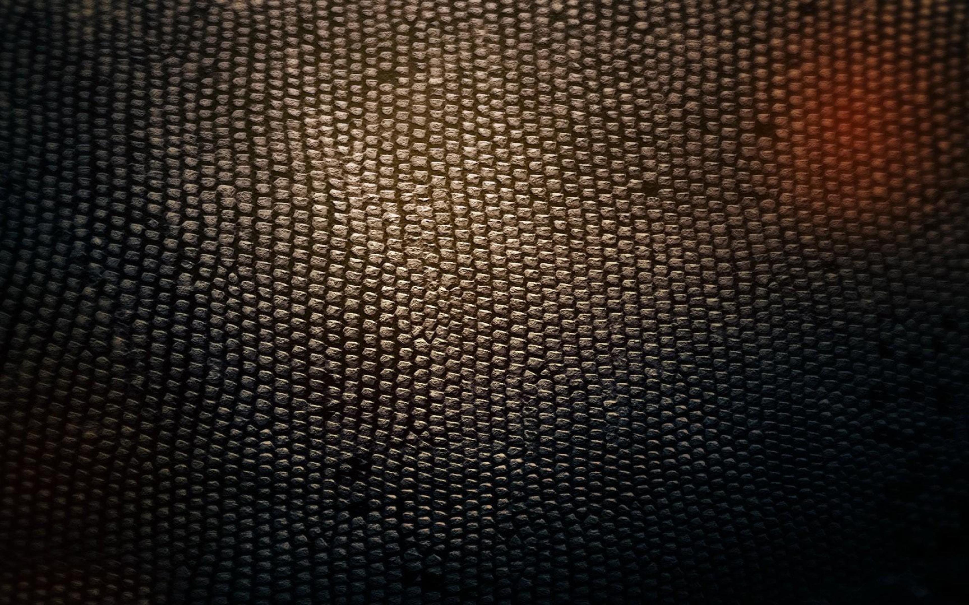 Snake 4K Ultra HD Wallpapers - Top Free Snake 4K Ultra HD Backgrounds ...