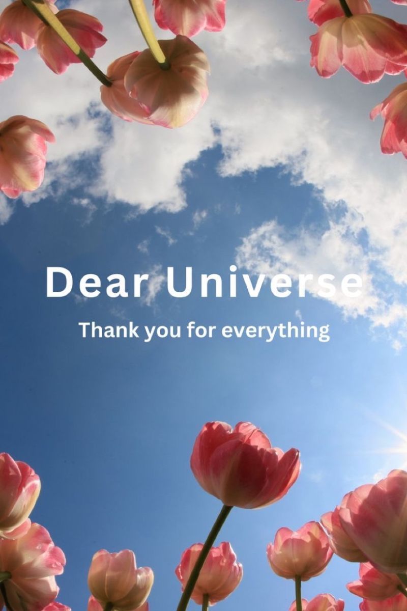 800x1200 gratitude