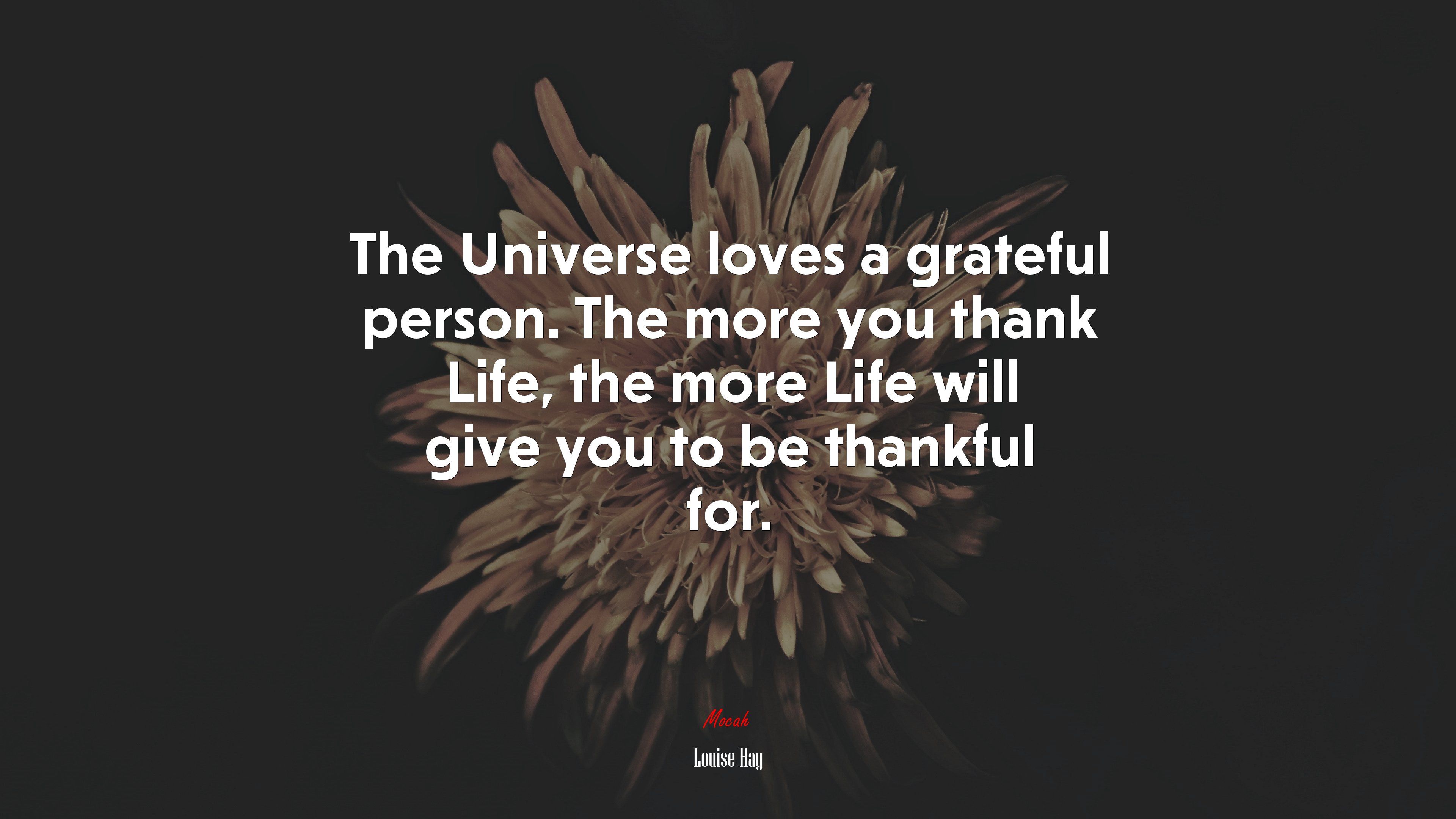 3840x2160 The Universe loves a grateful person. The more you thank Life, the more Life will give you to be thankful for. Louise Hay quote, HD Wallpaper