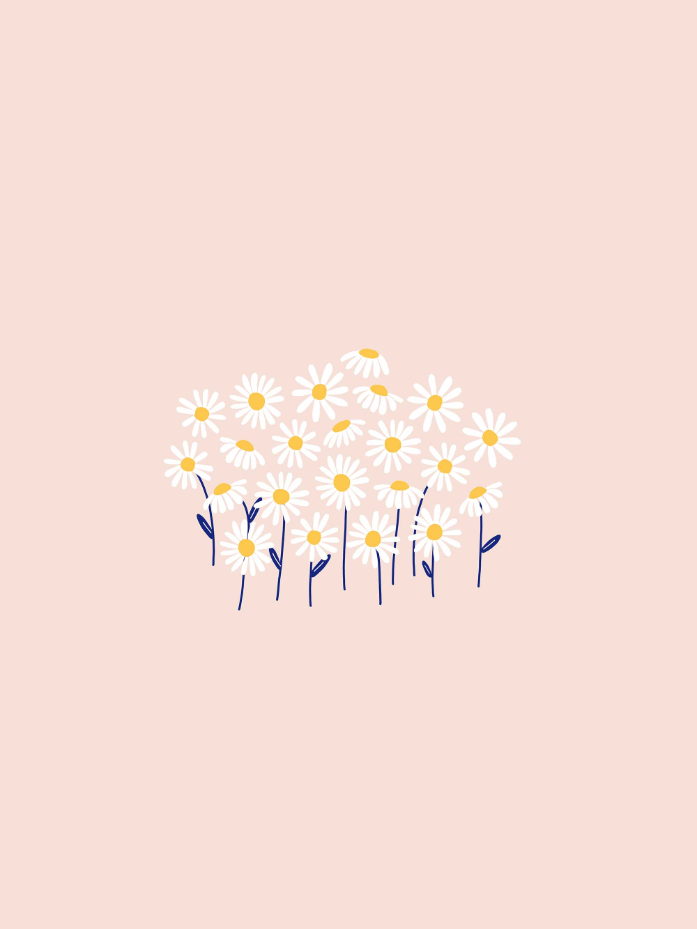 1000x1333 Daisy desktop, tablet and phone wallpaper. Daisy wallpaper
