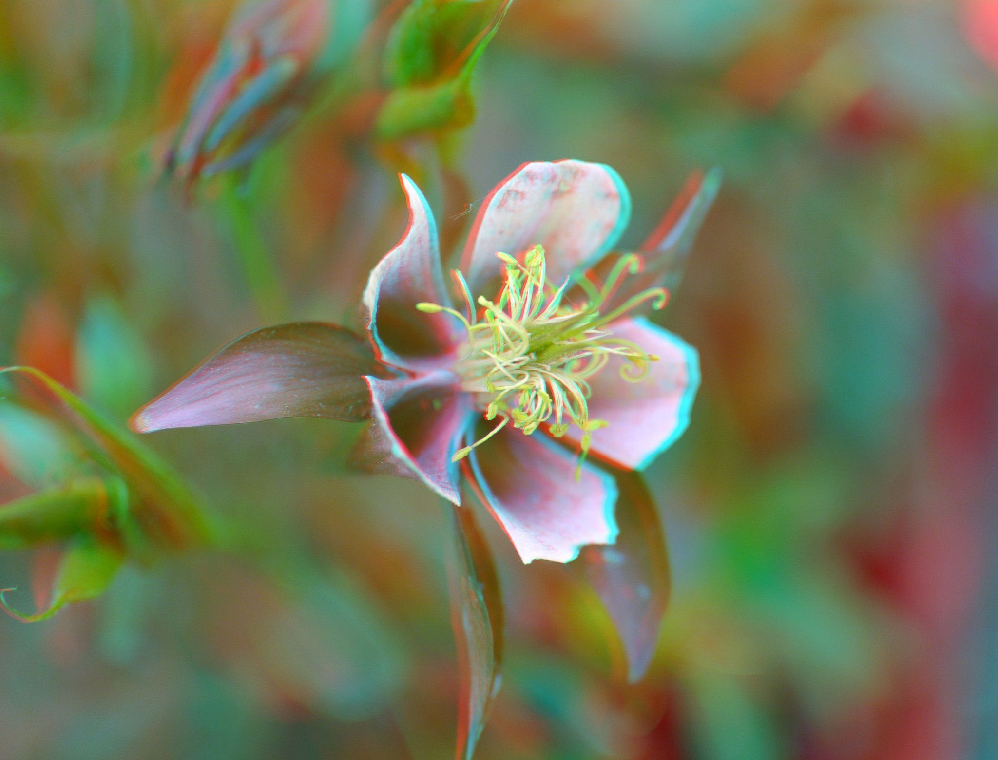 2048x1560 3D, Anaglyph, Cars, Glasses, Nature Wallpaper HD / Desktop and Mobile Background