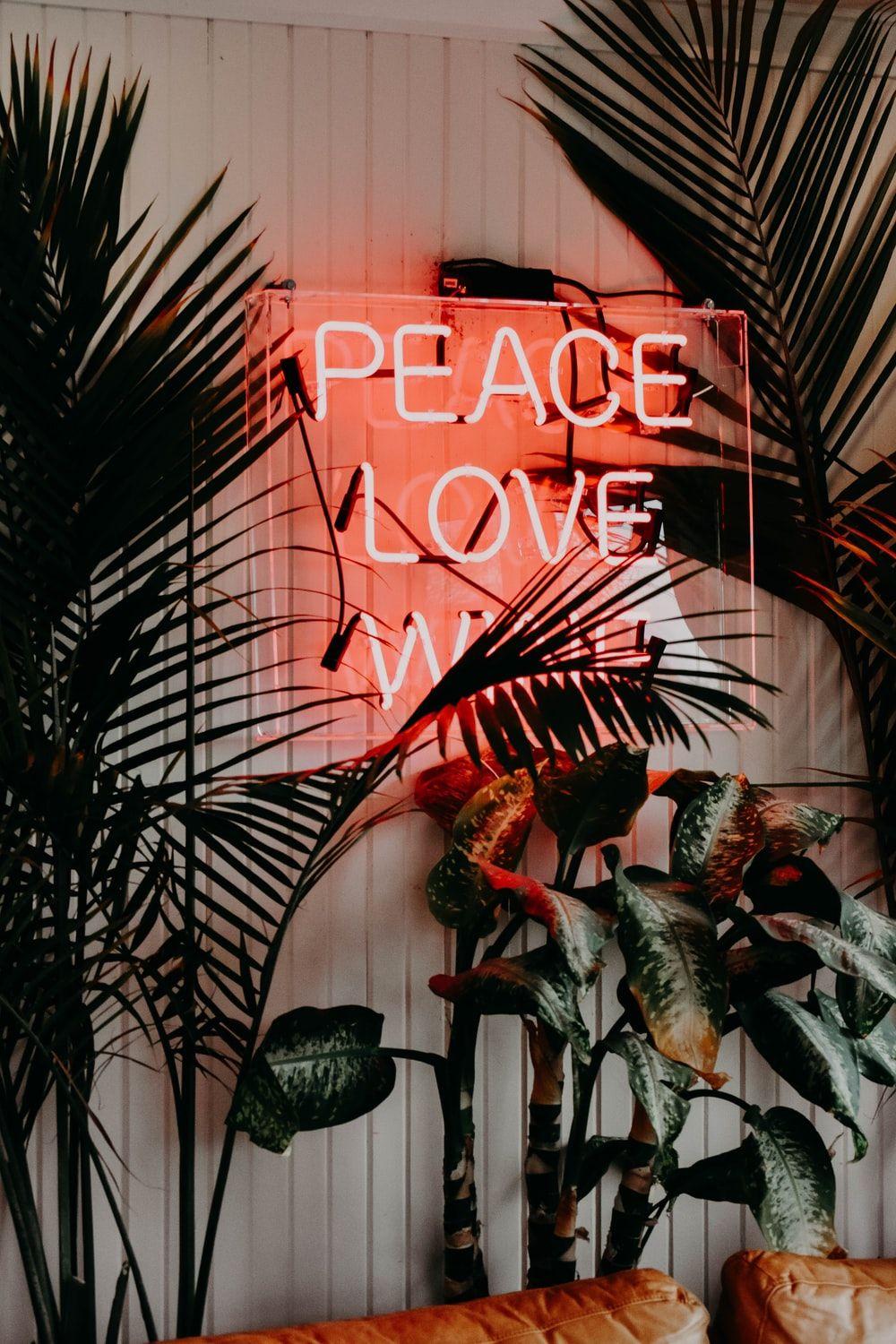 Peace and Love Wallpapers Top Free