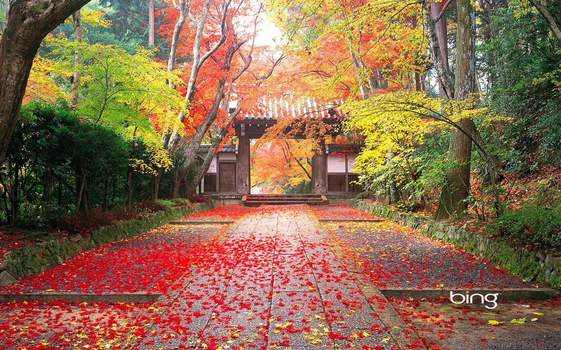1920x1200 Japanese Nature Wallpaper