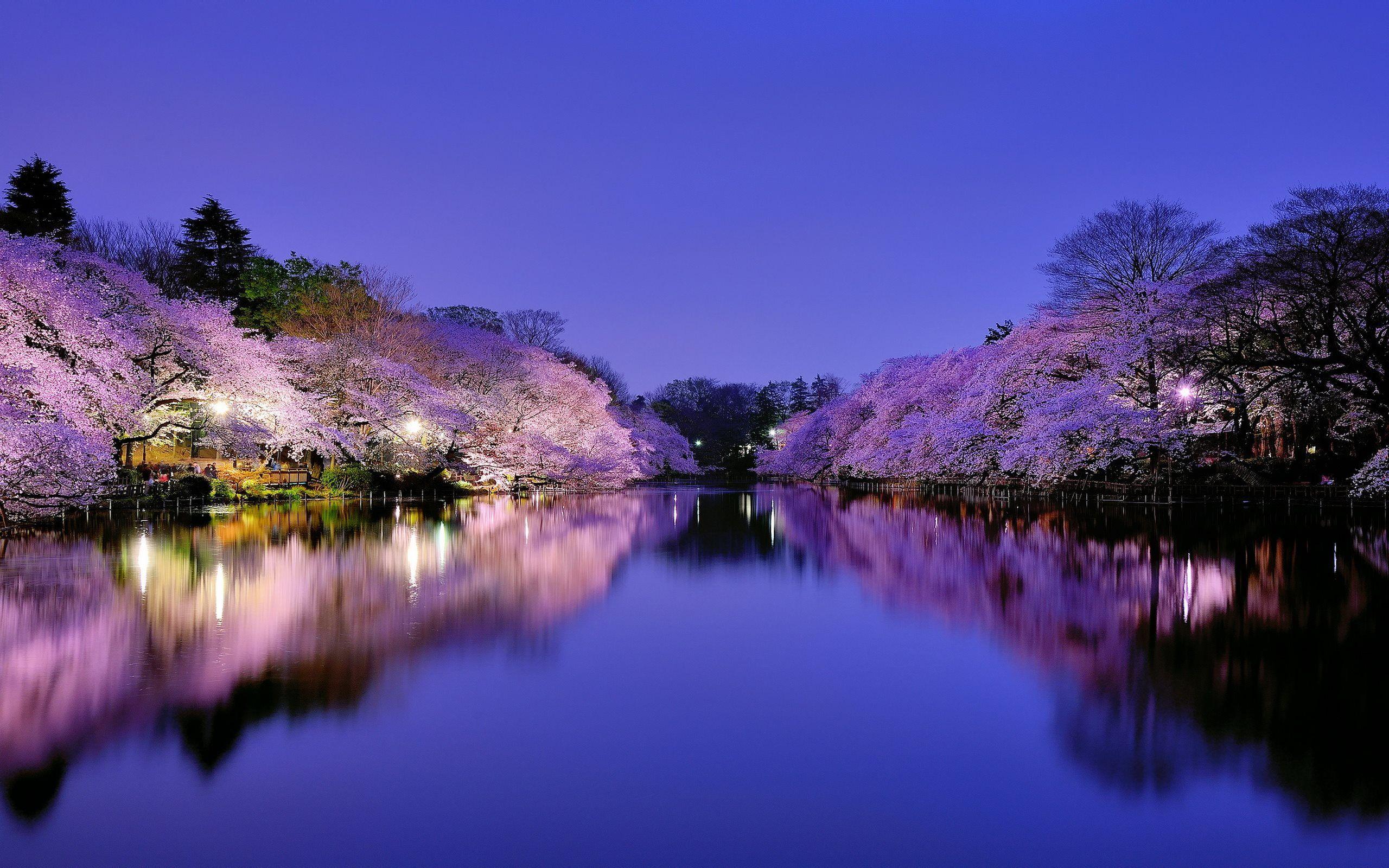 2560x1600 Japanese Wallpaper Desktop