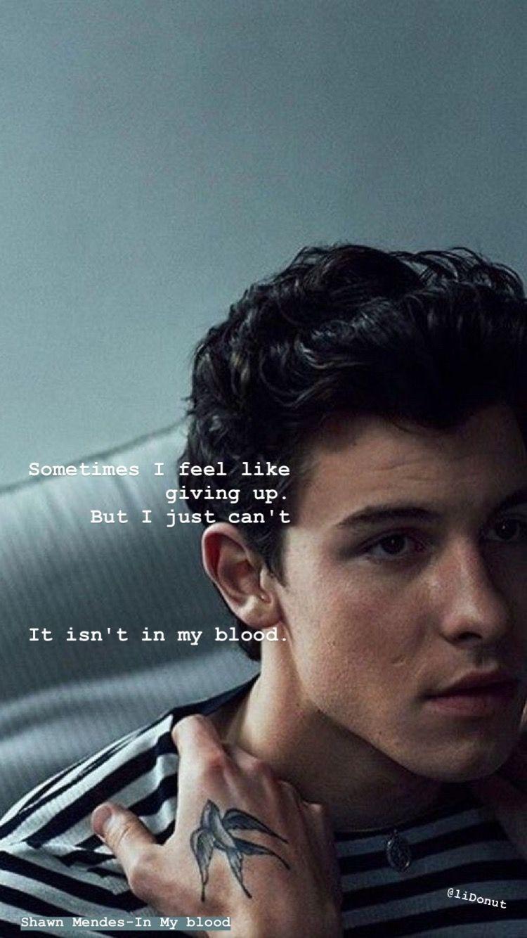750x1334 Shawn Mendes 2019 Wallpaper