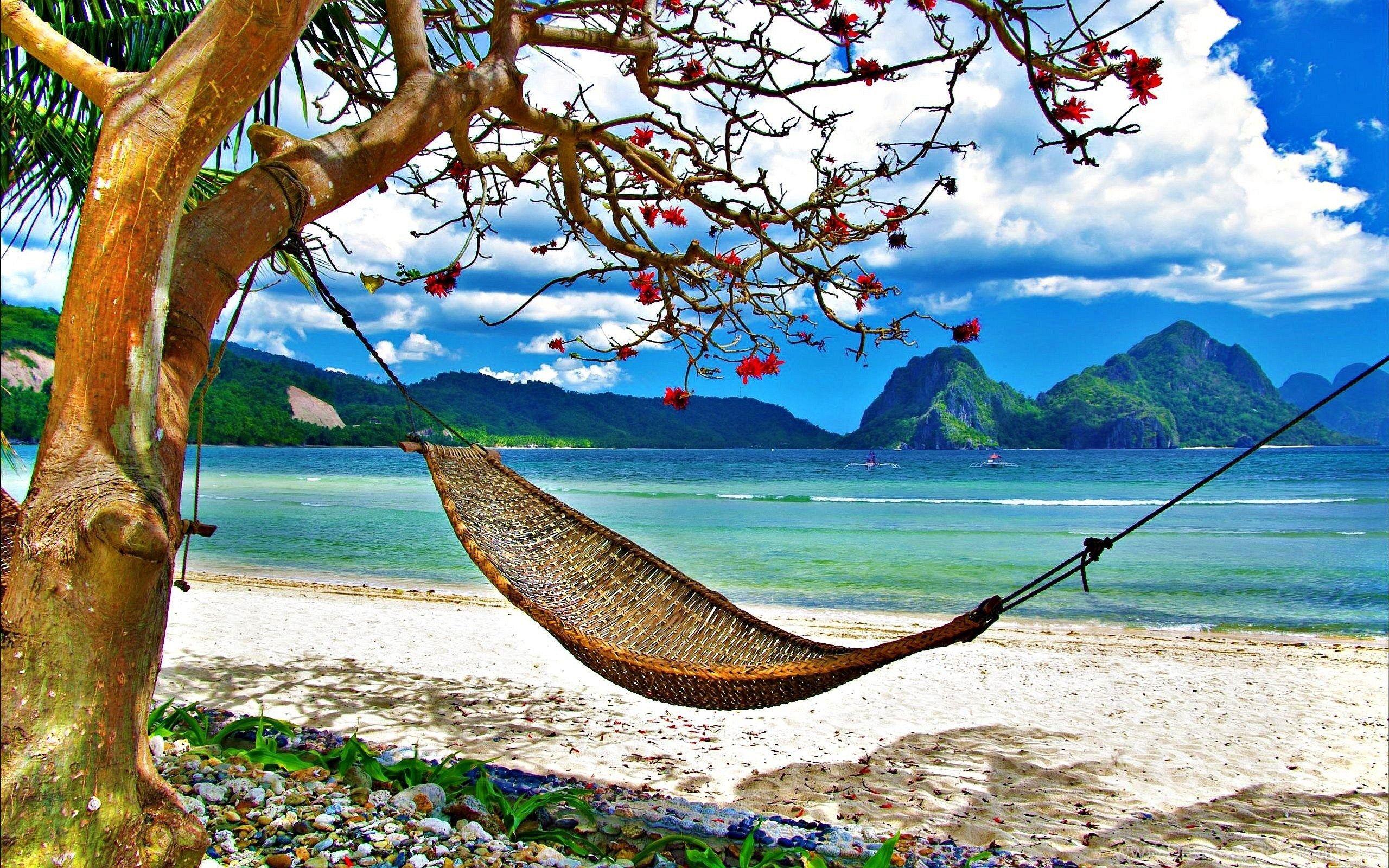 2560x1600 Download Relaxing Nature Wallpaper High Quality Resolution