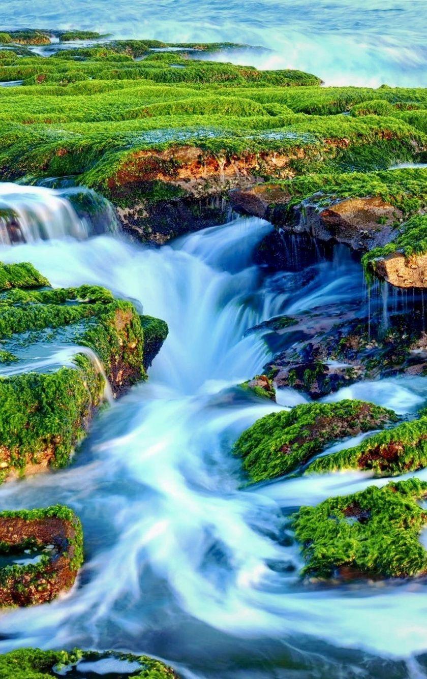 840x1336 Download 840x1336 wallpaper moss, rocks, river, nature, landscape
