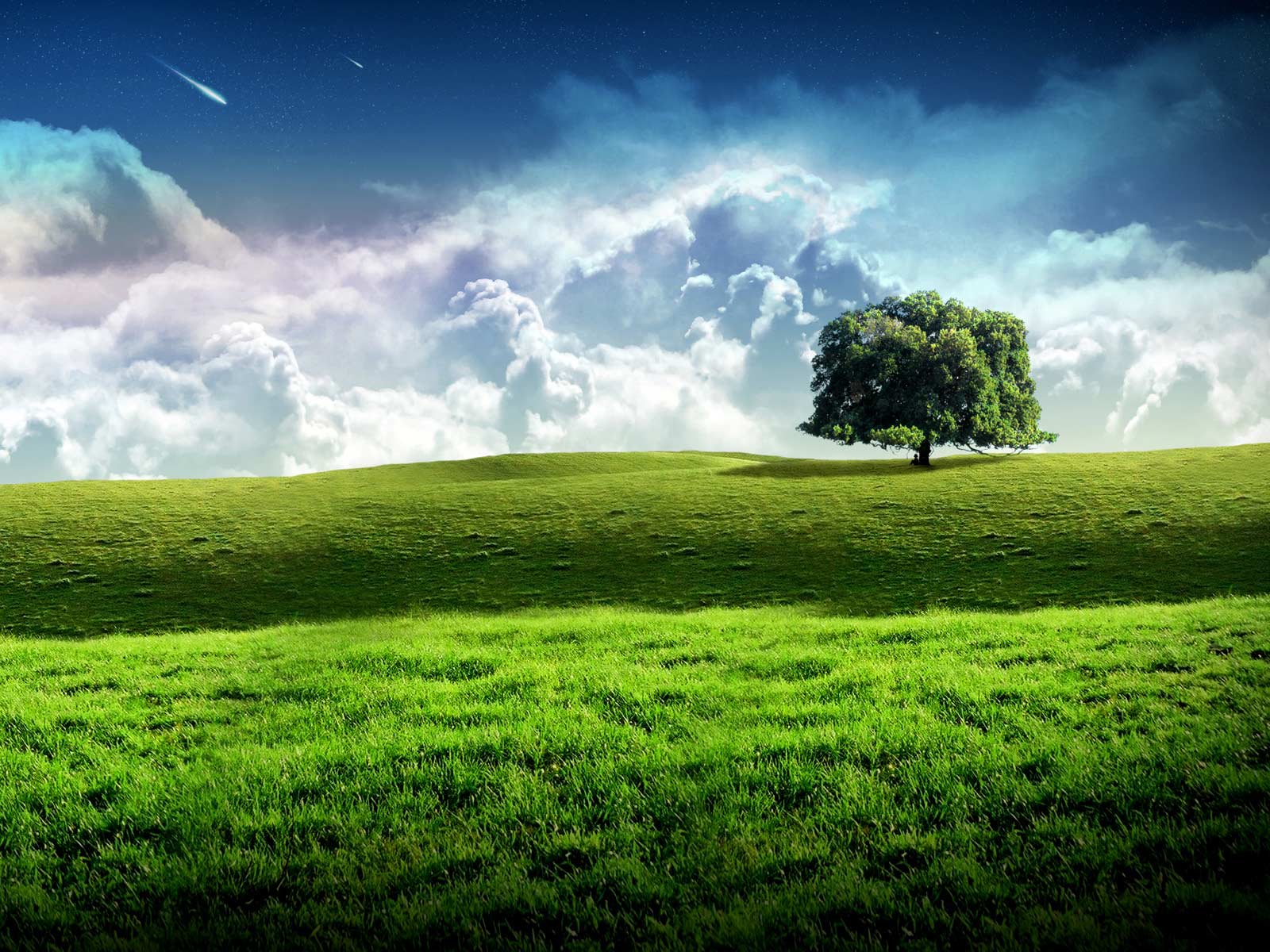 1600x1200 Nature Wallpaper HD