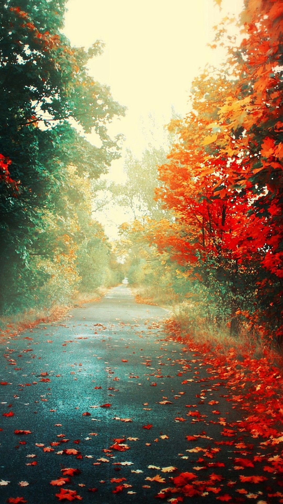 1080x1920 iPhone 5 Wallpaper HD Nature Wallpaper & Background