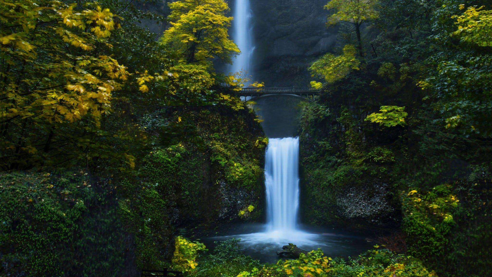 2048x1152 Waterfall Forest HD Wallpaper