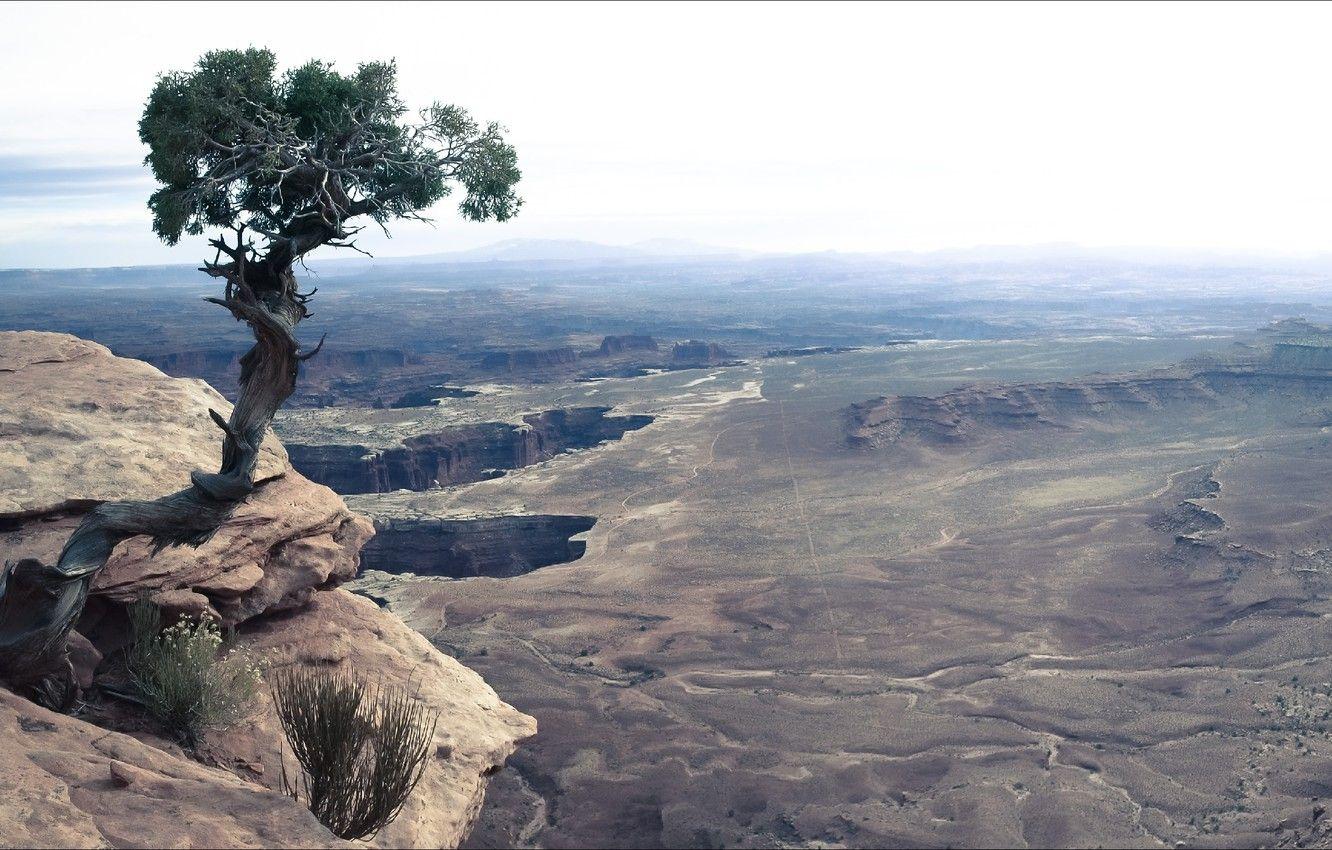 1332x850 Wallpaper USA, landscape, nature image for desktop, section