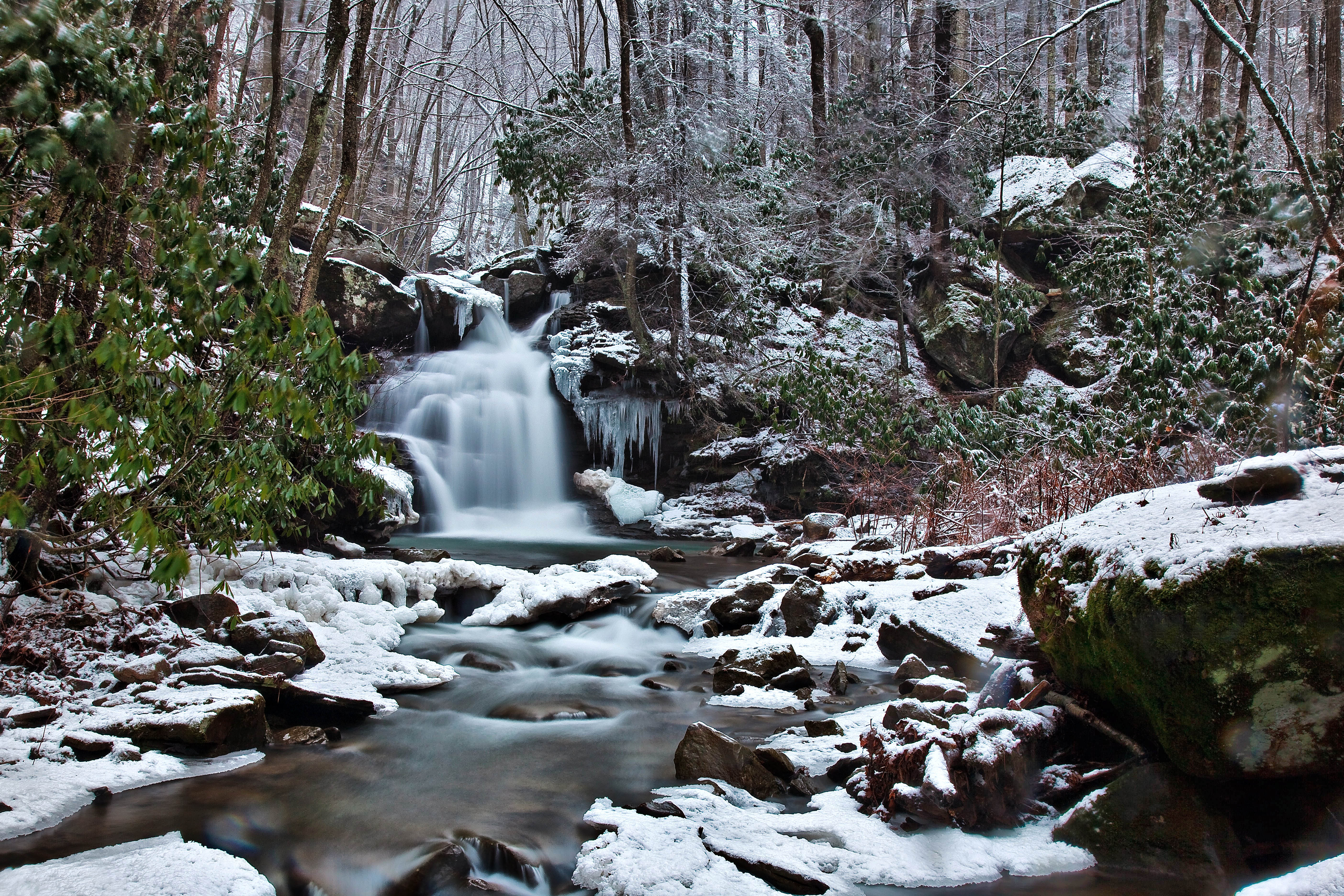 5616x3744 Forest Waterfall Winter Snow Scene1 Virginia