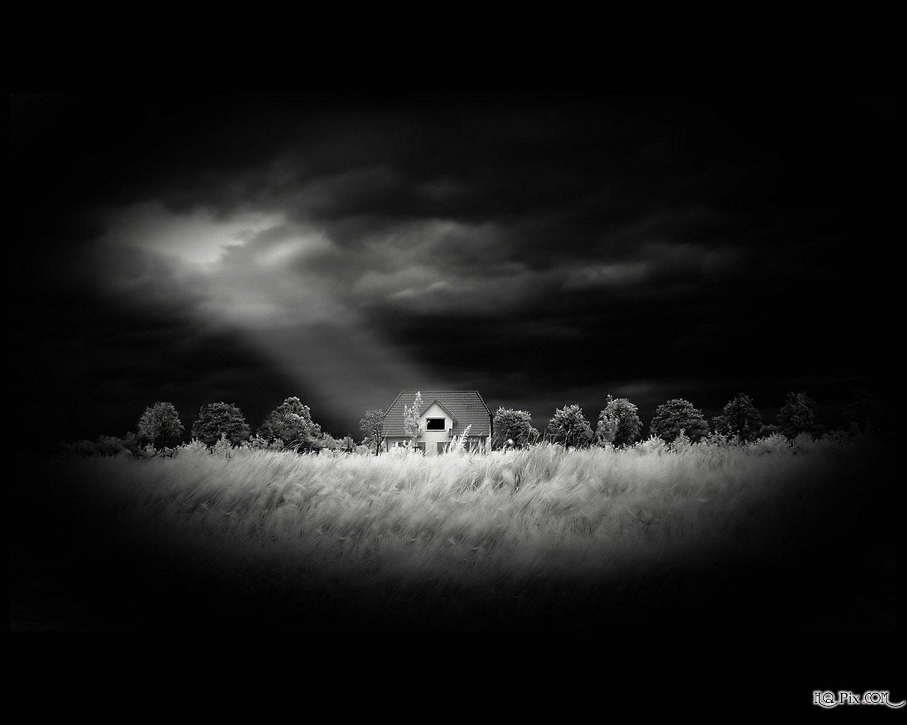 1280x1024 White and Black Wallpaper: Nature Black and White Wallpaper