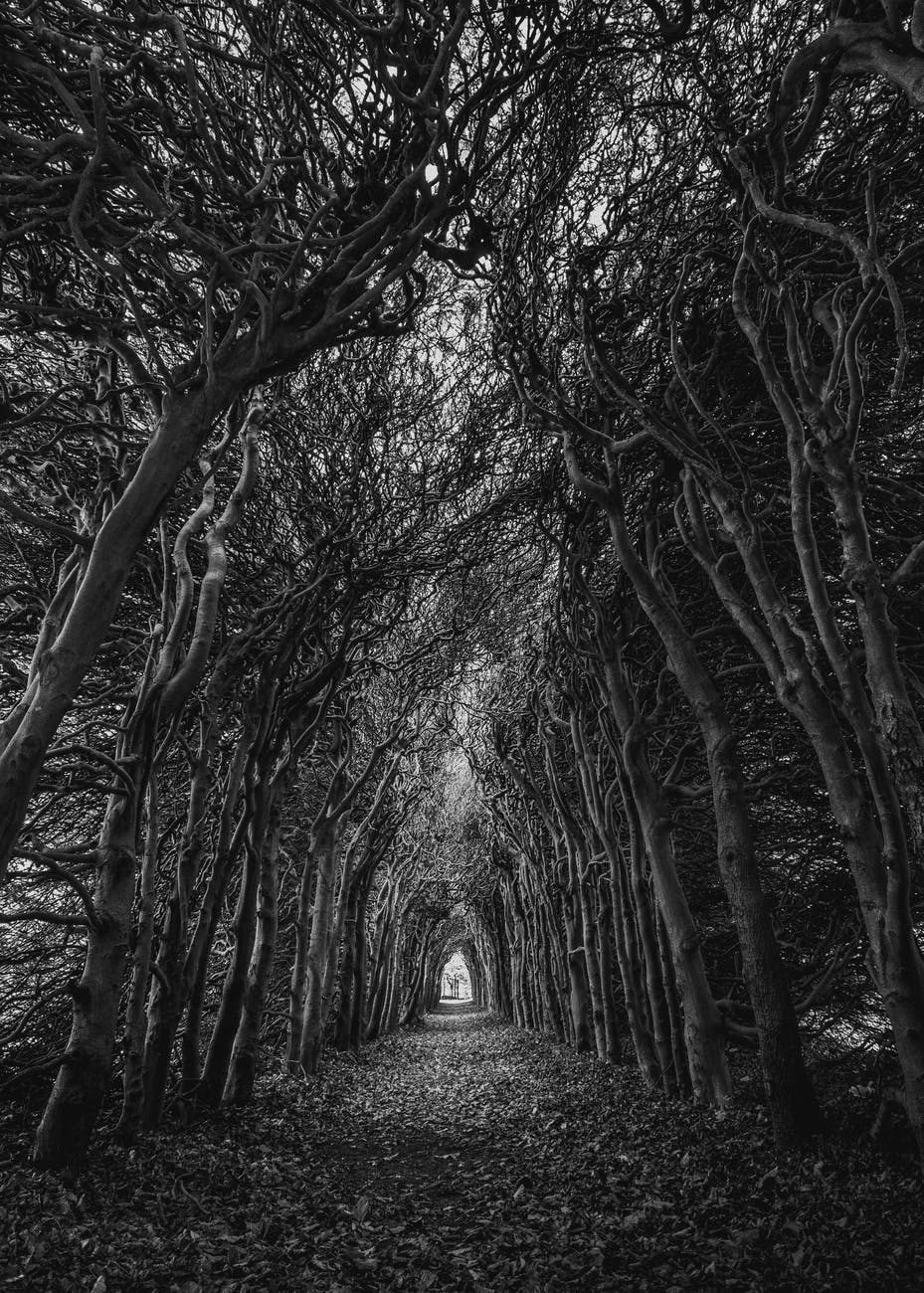 929x1300 Black and White Wallpaper, Beautiful Sea Black And White