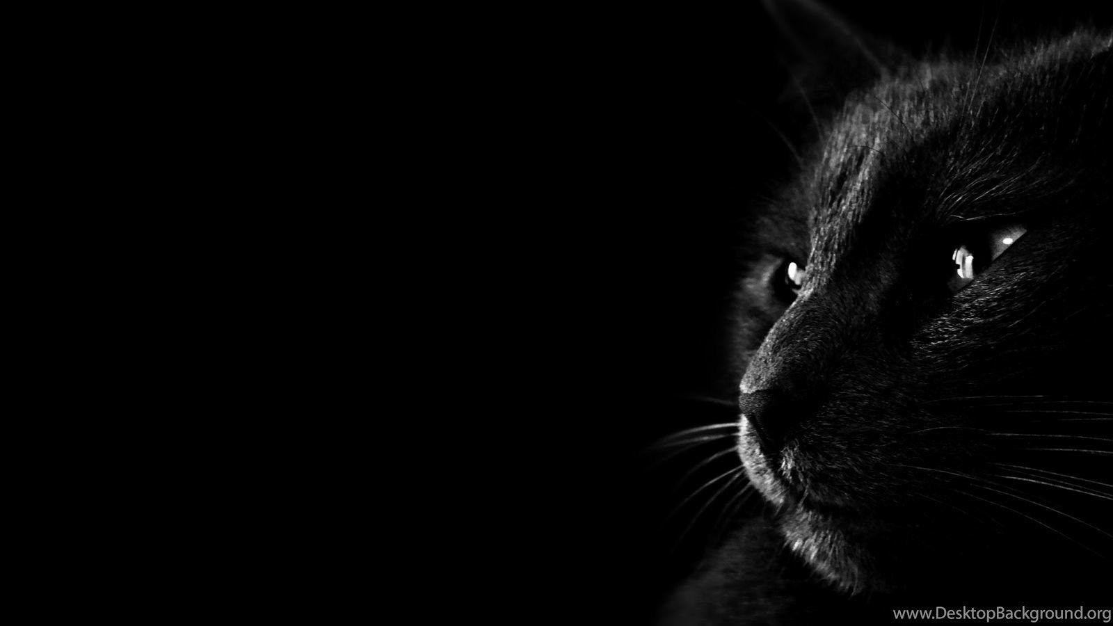 1600x900 Dark wallpaper HD wallpaper download xpx HD wallpaper dark