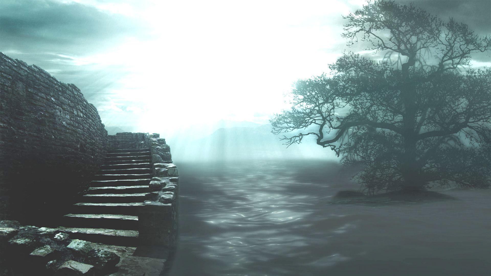 1920x1080 Dreamscene.org Download Dreamscenes, Video Loops