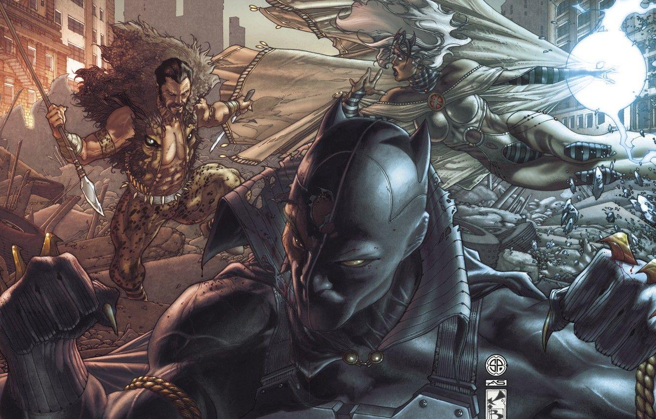 1332x850 Wallpaper storm, art, hunting, battle, art, Black Panther, black