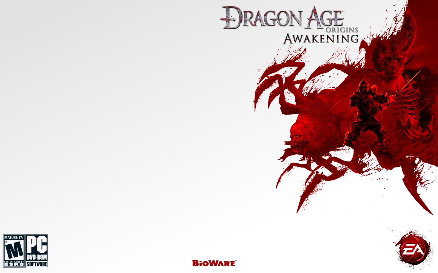 1680x1050 Dragon Age Origins Wallpaper (1680x1050)