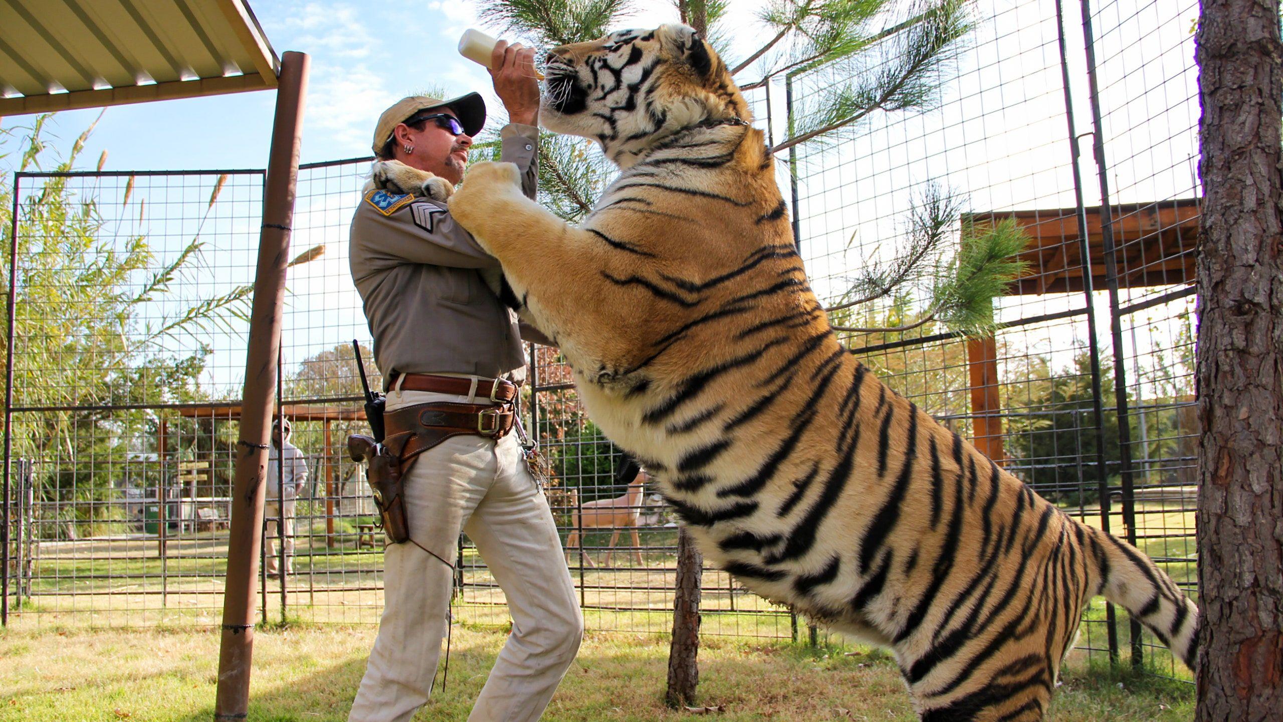 2560x1440 Every Tiger King Song, Ranked