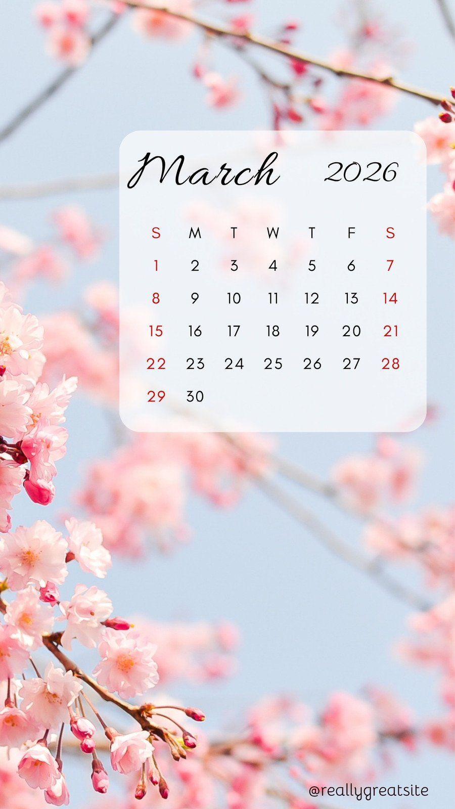 900x1600 and customizable march templates