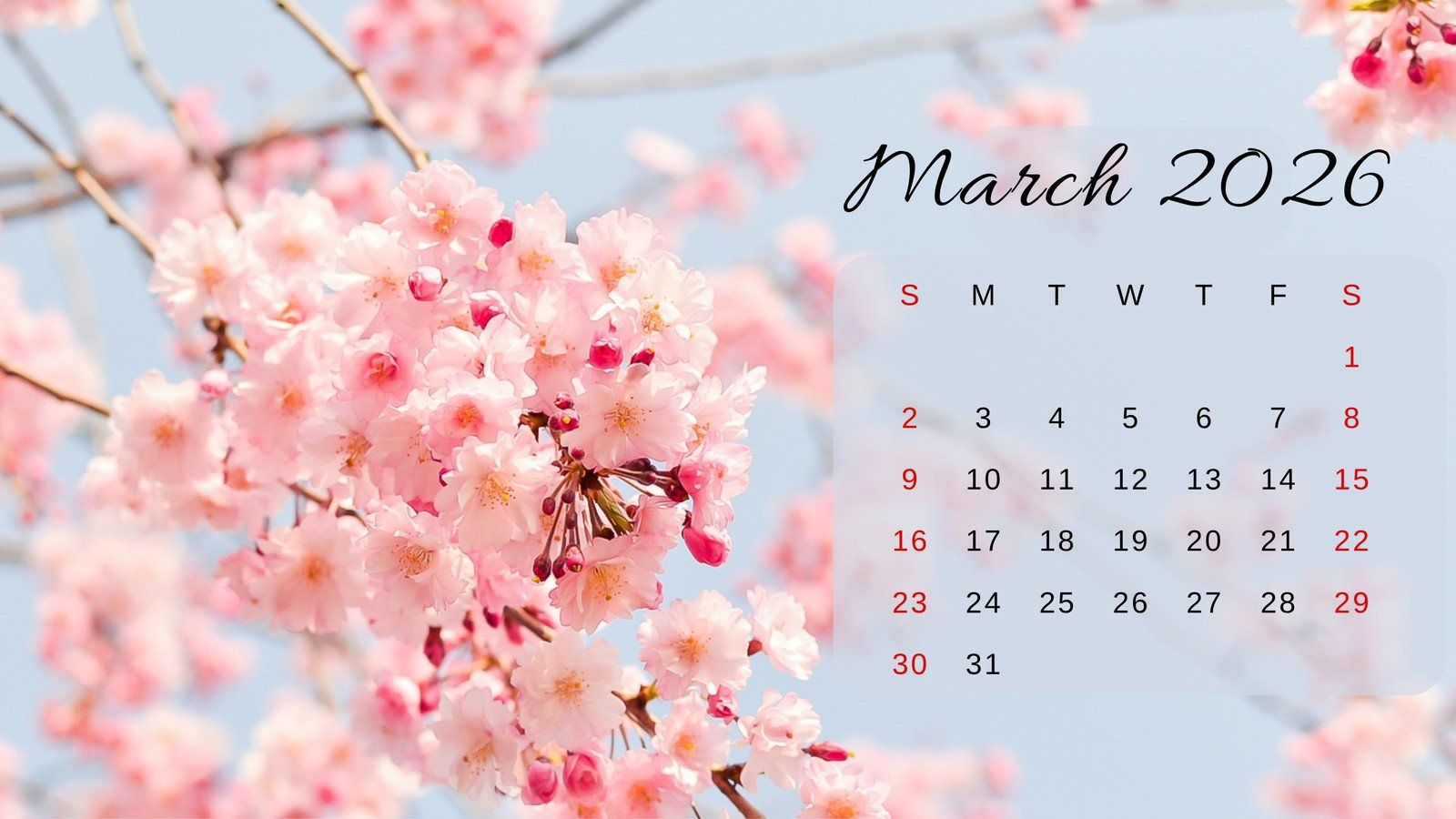 1600x900 Calendar Wallpaper