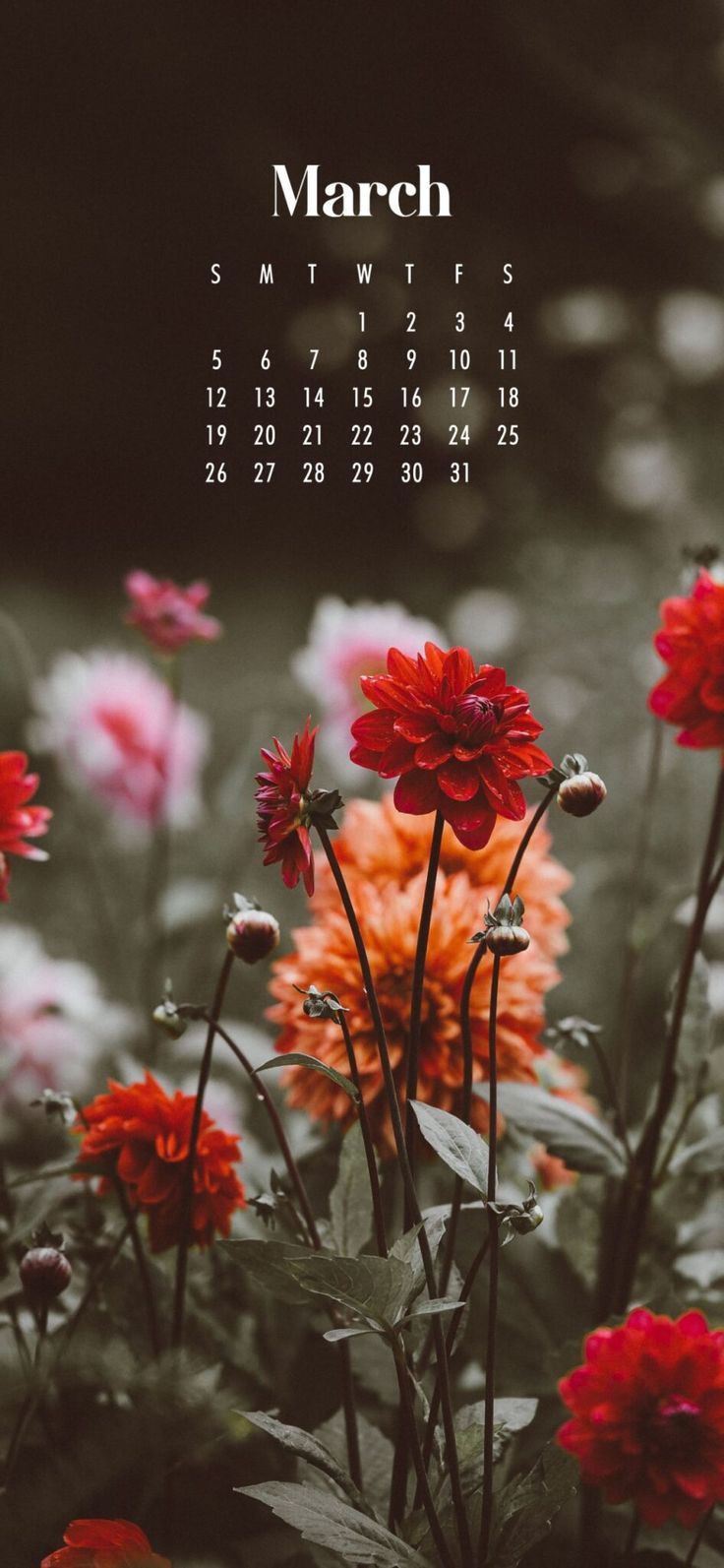 736x1593 Free March 2026 Calendar Wallpaper For Phone And Desktop
