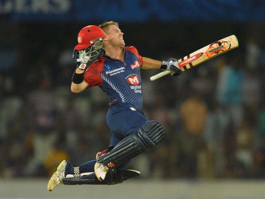 1024x768 Free download David Warner Century Wallpaper [1024x768]
