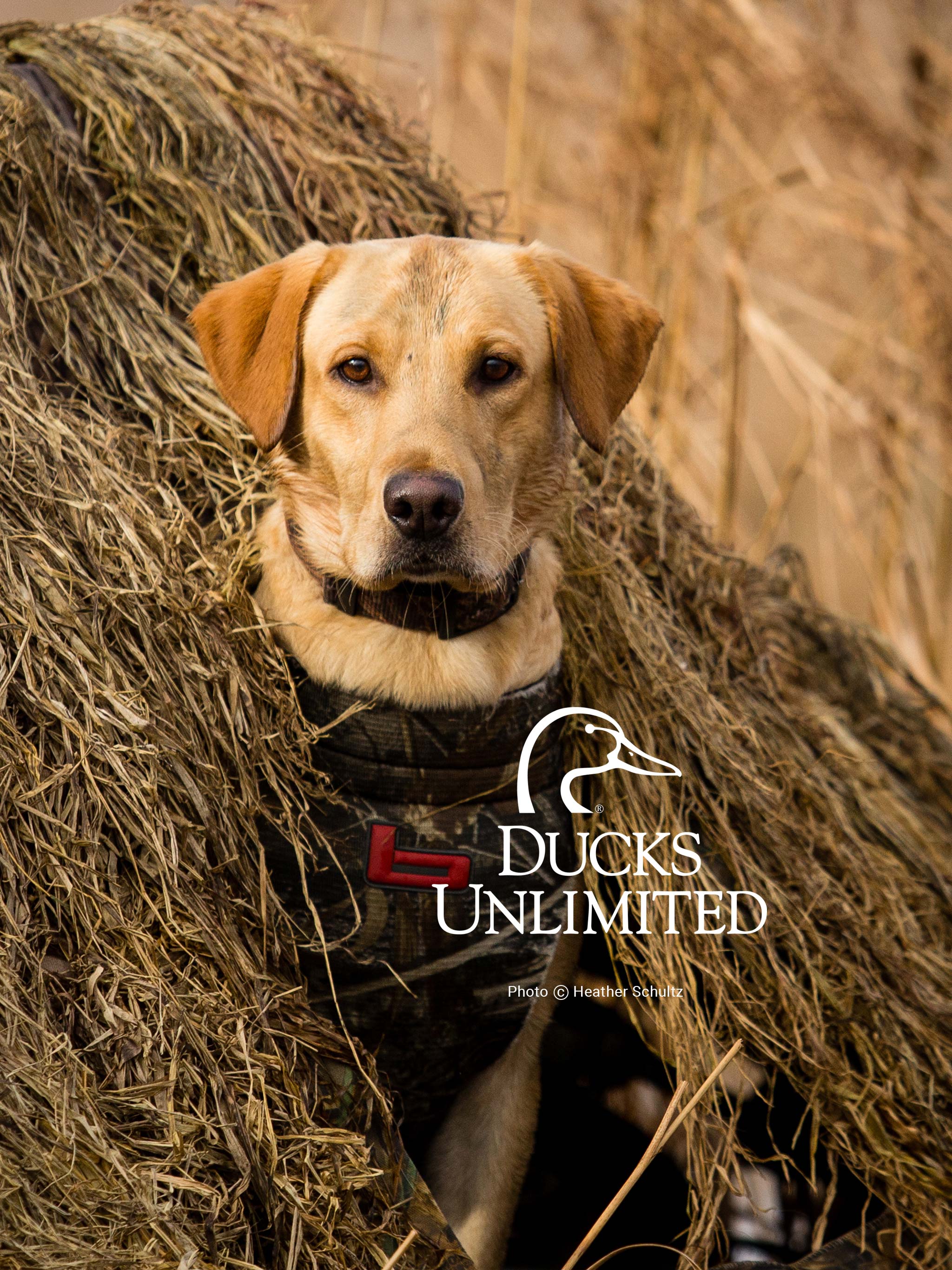 hunting unlimited 2017