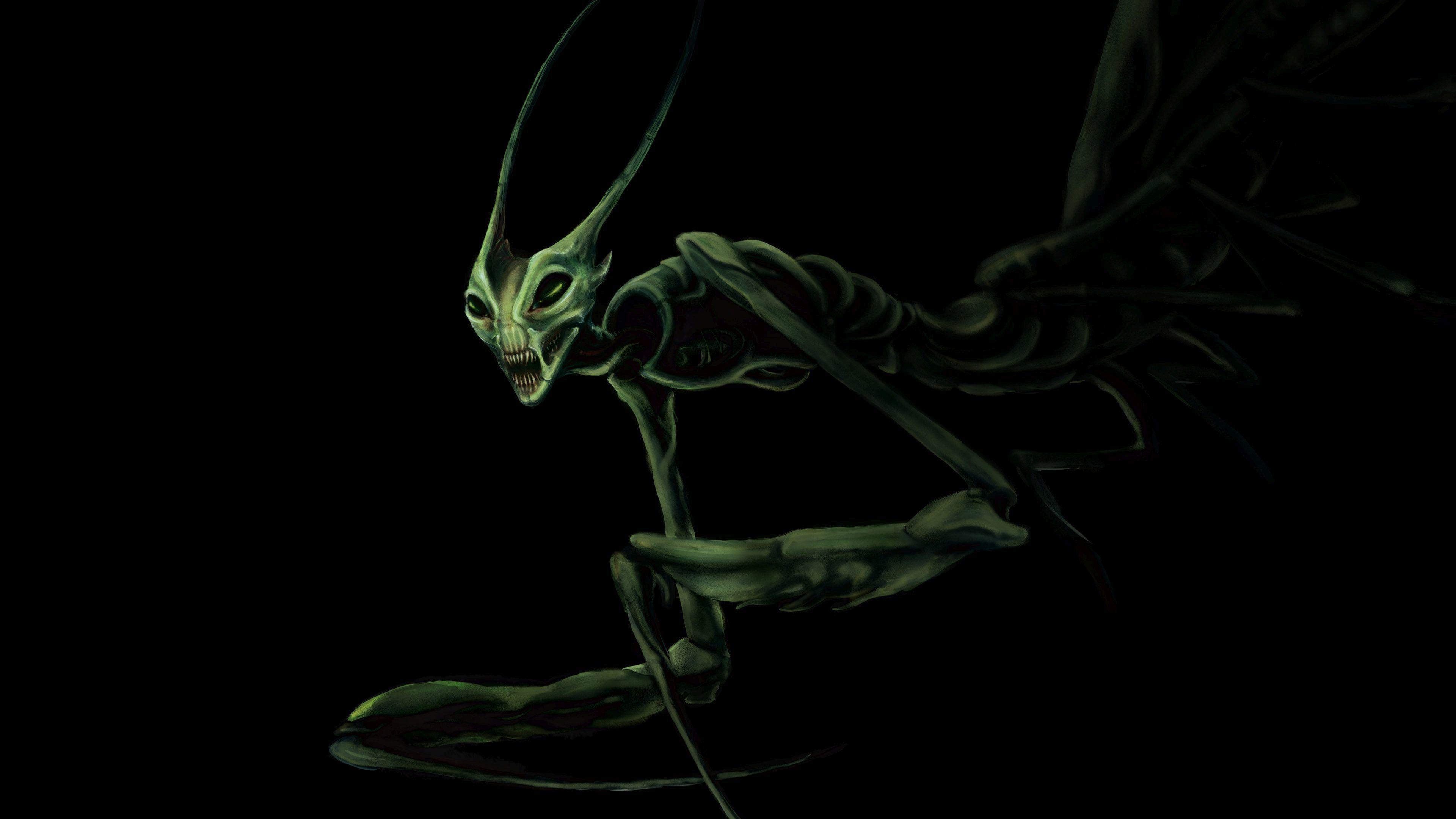 Mantis Wallpapers - Top Free Mantis Backgrounds - WallpaperAccess
