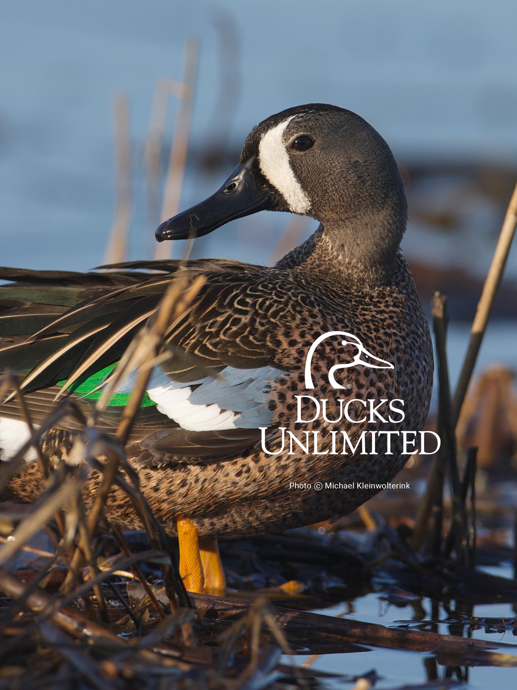 36 Duck Hunting Wallpaper Iphone ideas  hunting wallpaper duck hunting  hunting