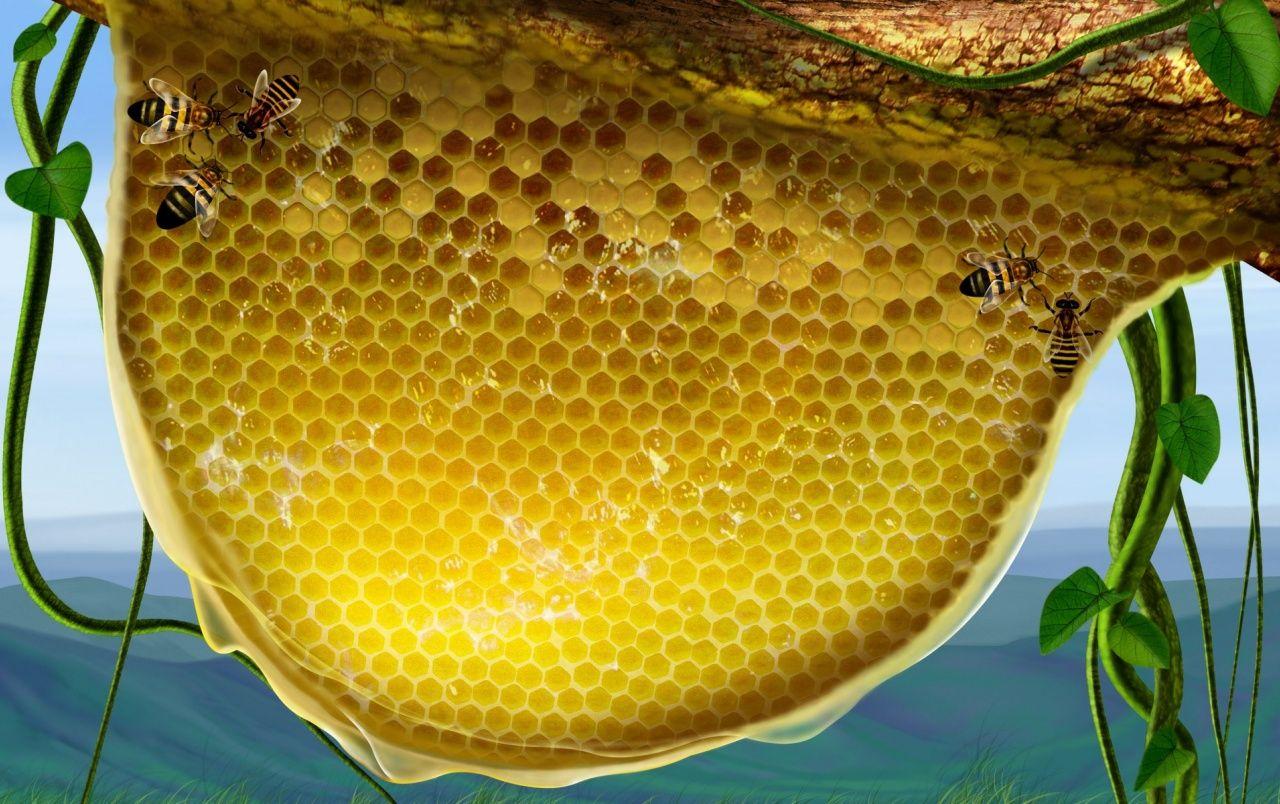 1280x804 Honeycomb wallpaper. Honeycomb