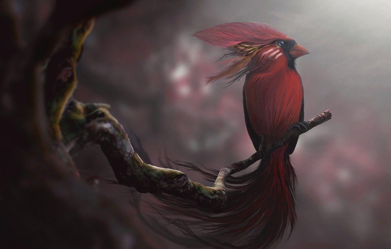 1332x850 Wallpaper red, art, desktopography, spirit bird image for desktop