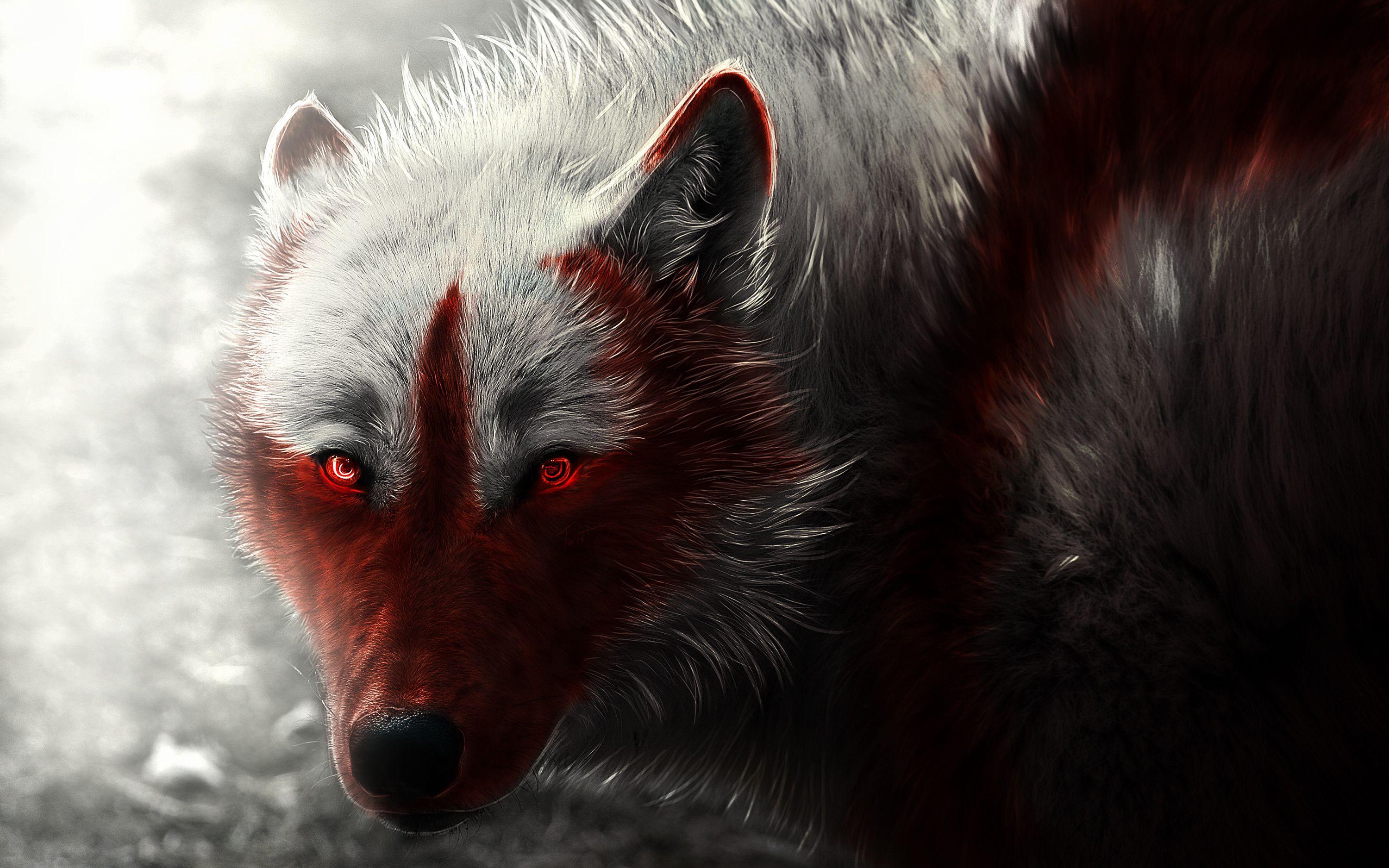 3000x1875 Arctic Wolf Wallpaper
