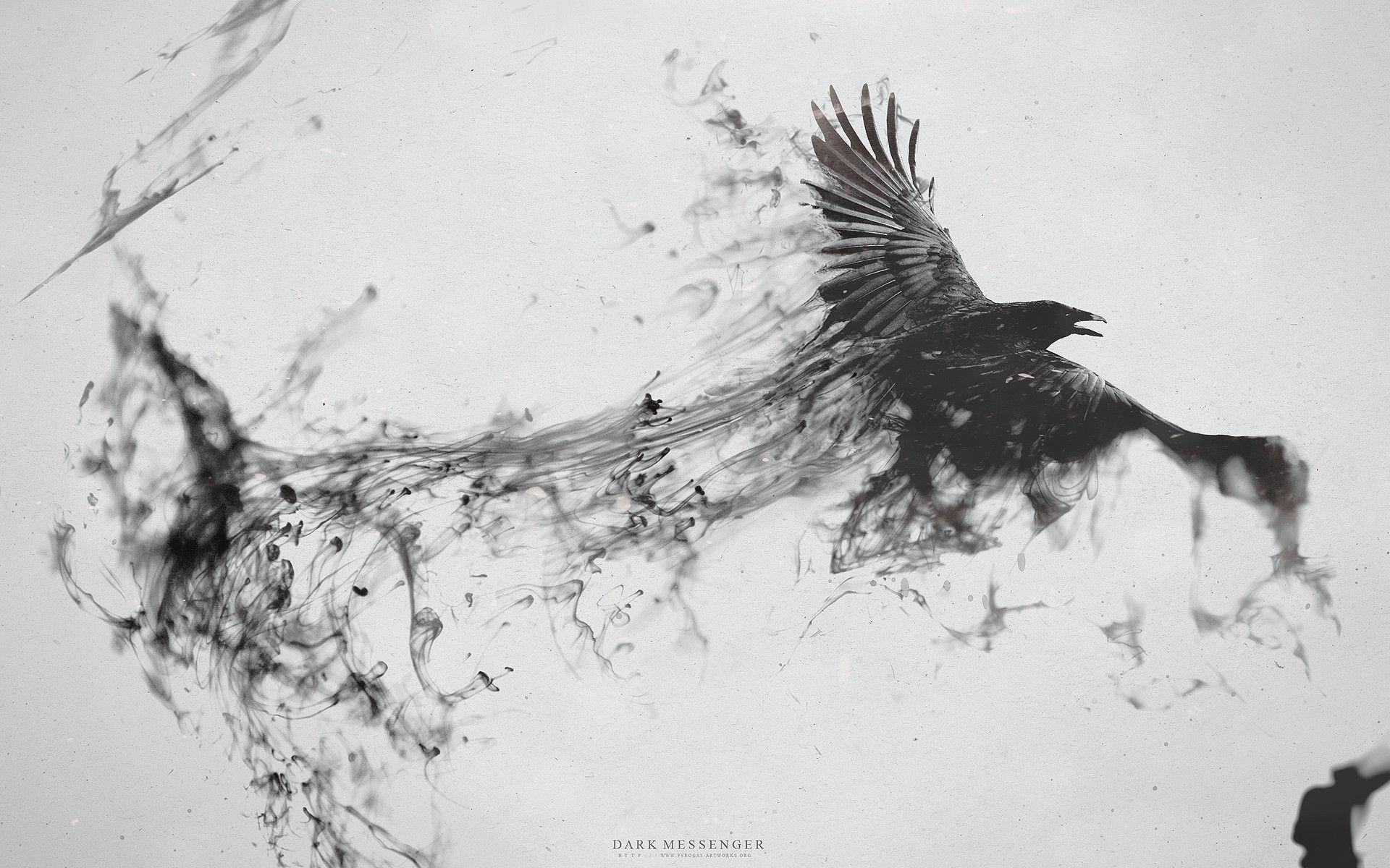 1920x1200 Free download Dark Messenger Birds Digital Artistic Raven Bird