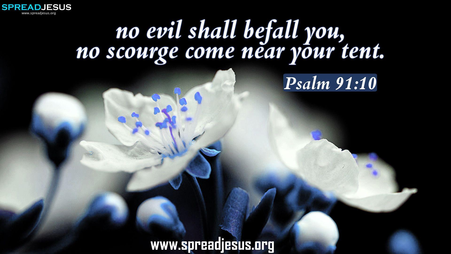 1920x1080 Bible Quotes HD Wallpaper Free Download No Evil Image
