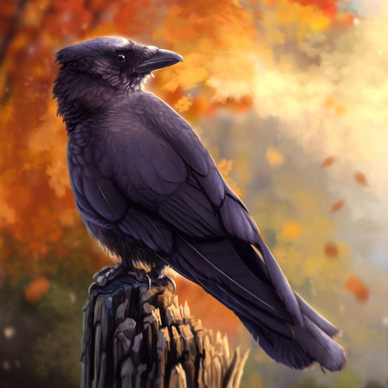 1280x1280 Download wallpaper 1280x1280 raven, bird, art, black, autumn ipad